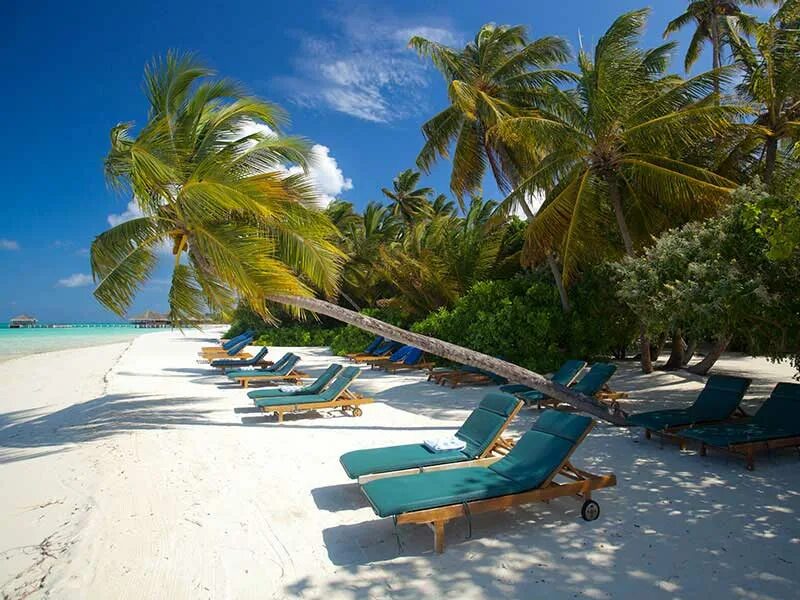 Medhufushi island 5. Medhufushi Island Resort. Медуфуши Мальдивы. Medhufushi Island Resort 4*. Meeru Island Resort & Spa с неба.