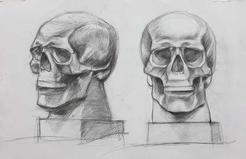 Академический рисунок уроки. Гипсовый череп Академический рисунок. Череп карандашом. Конструктивное построение черепа. Череп для рисования гипс.
