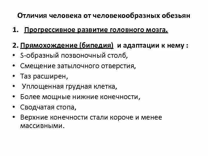 Бипедальность. Приспособления скелета человека к прямохождению. Бипедальность. Скелет человека. Бипедальность.