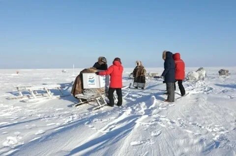 Вакансии ямало ненецком округе