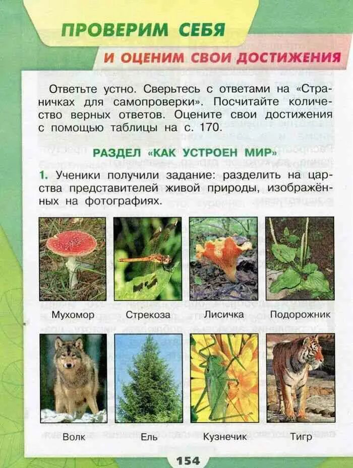 Как устроен мир 3 класс окружающий. Окружающий мир 3 класс. окружающий мир окружающий мир 3 класс. как устроен мир окружающий мир 3 класс. окружающий мир плешаков мир природы.