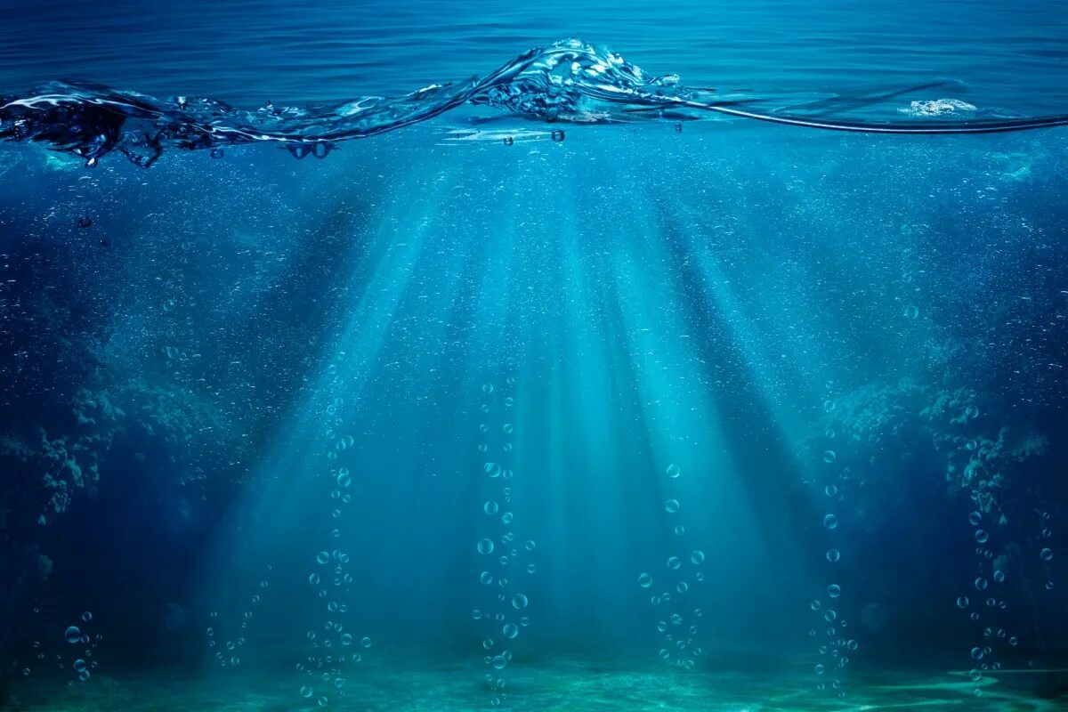 Океанские глубины. Карибское море под водой. Морской фон. Океаны. Океан под водой.