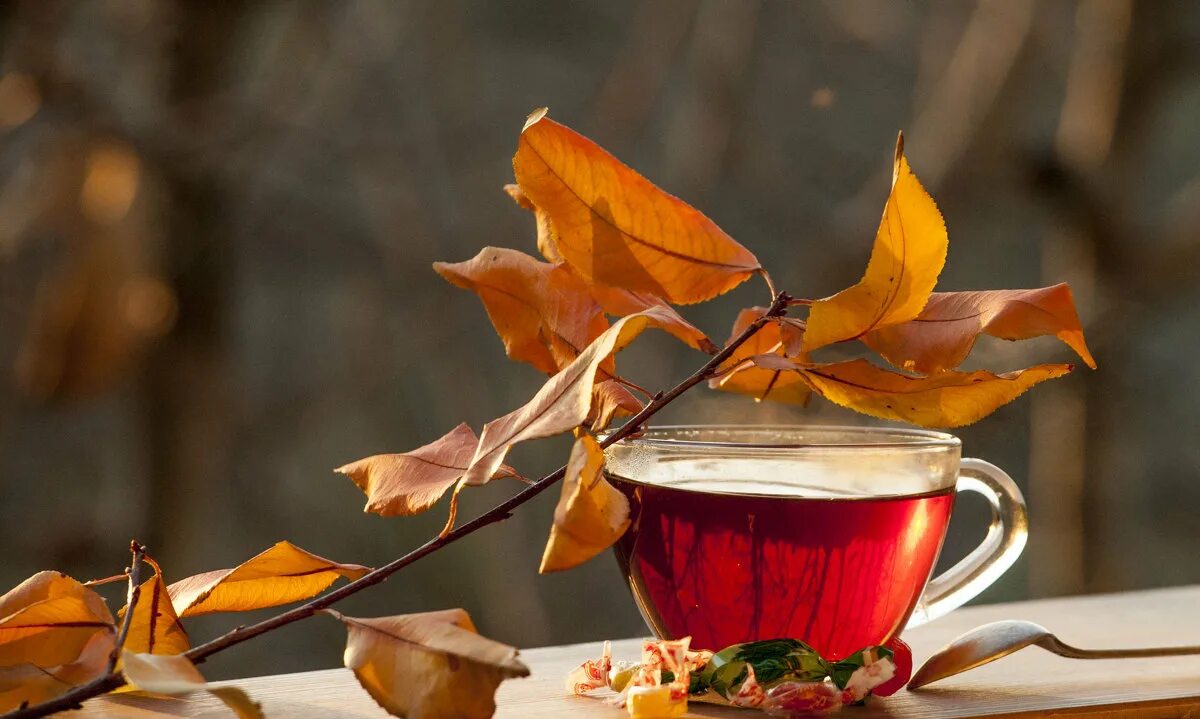 часы с листьями. время было осеннее и утреннее. осенний день. доброе осеннее утро. осень чай.