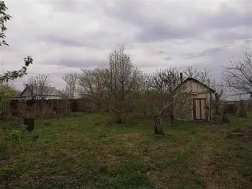 Погода в мамоново пронского. Деревня мамоново. Деревня мамоново. Погода в мамоново пронского. Погода в мамоново пронского.