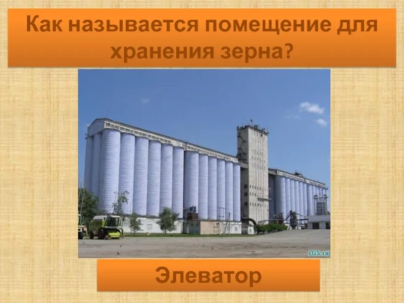 Как называется здание в котором находятся организации. Где хранят зерно как называется. как называется помещение в котором хранят пшеницу. буинский элеватор.