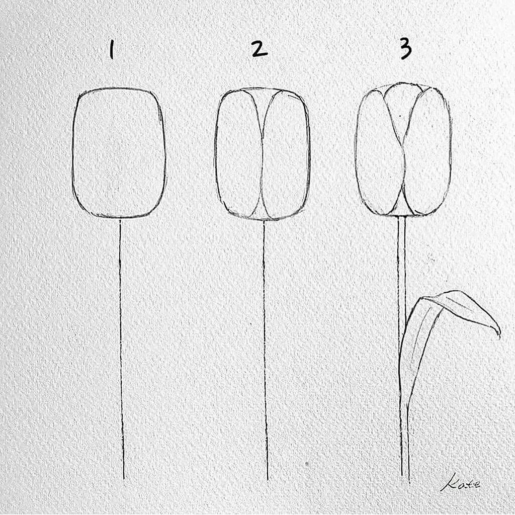 Поэтапное рисование тюльпана для детей. Поэтапный рисунок тюльпана. Пошаговое рисование тюльпанов. Рисование тюльпана пошагово. Как нарисовать тюльпаны карандашом поэтапно