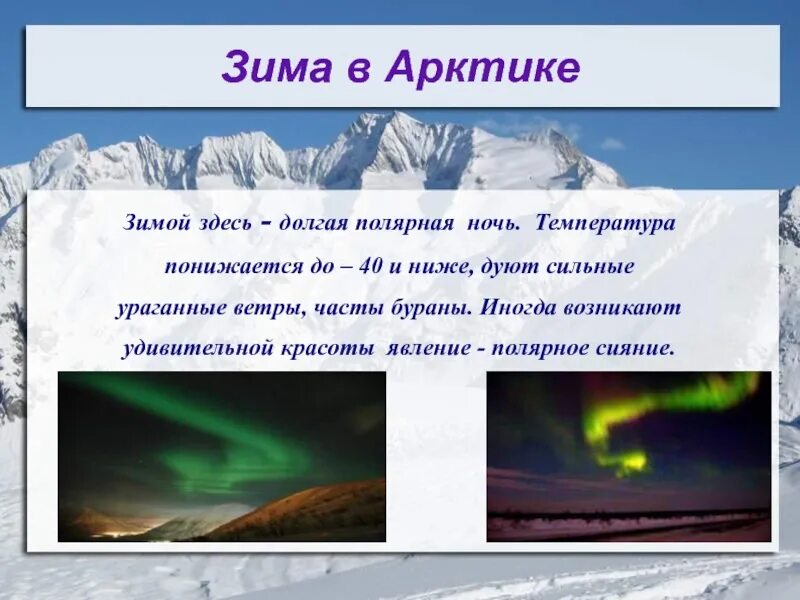 Как называется зима в Арктике. Арктика зимой. Температура в Арктике. Зимой в Арктике Полярная ночь или Полярный день.