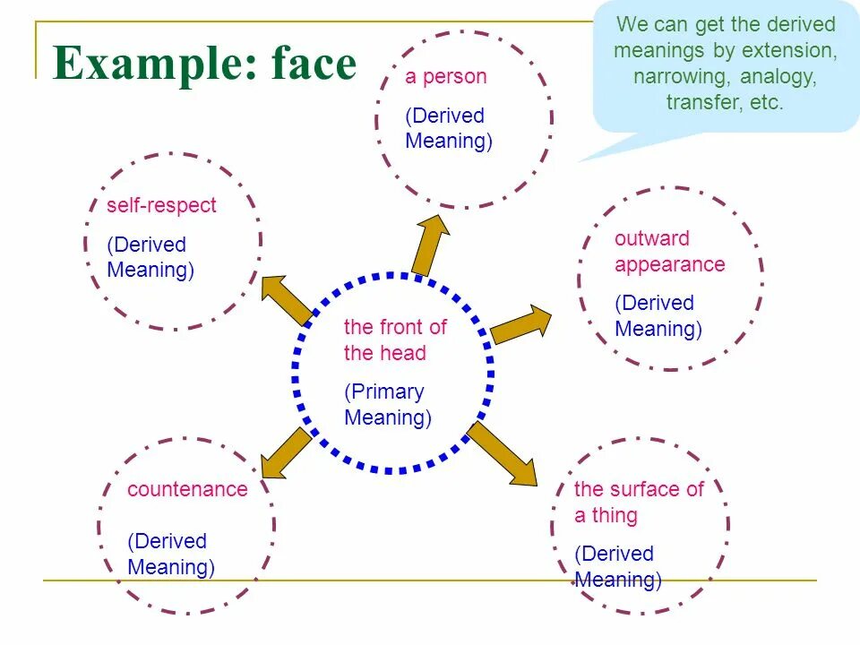 An example is. Polysemy examples. polysemy in lexicology. polysemy in english lexicology. polysemy examples in english.
