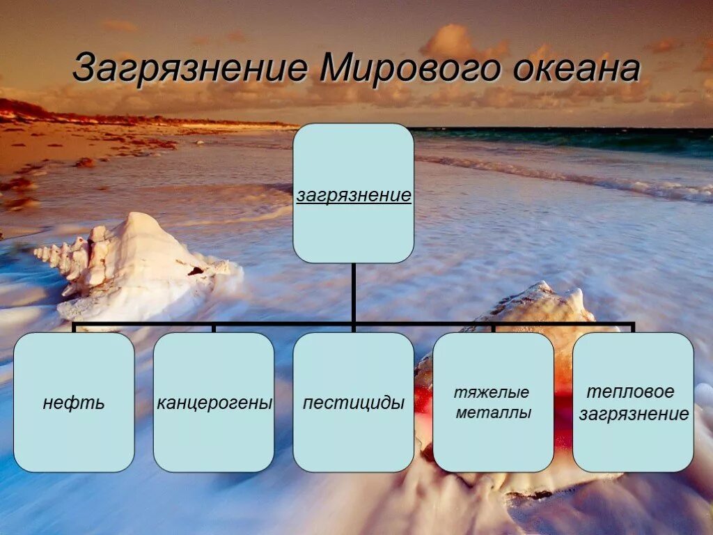 Океан можно отнести к. Источники загрязнения мирового океана. Виды загрязнения океана. Загрязнение мирового океана схема. Причины загрязнения океана.