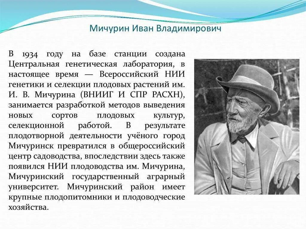 Мичурин иван владимирович достижения. Иван владимирович мичурин (1855-1935). Мичурин иван владимирович биография селекционер. Об ученом мичурин иван владимирович. Иван владимирович мичурин селекция.