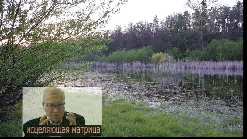 Матрица гаряева что это и как работает. Матрица гаряева для сна. всеисцеляющая матрица гаряева. гаряева матрицы на исцеление всего организма. матрица гаряева самая мощная исцеляющая.