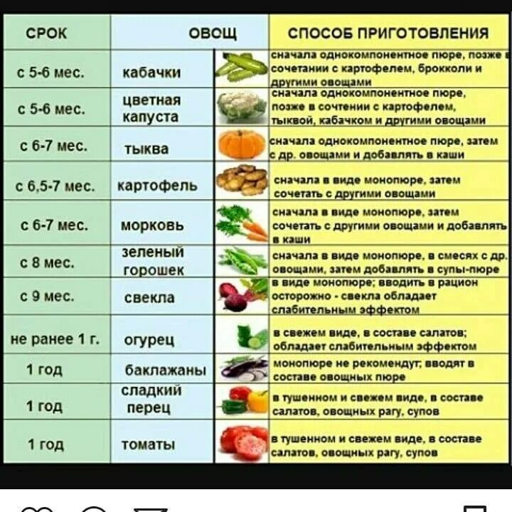 Продукты в 6 месяцев. Когда можно давать огурец ребенку. Когда можно давать ребенку огурец свежий. Схема введения фруктов в прикорм. Овощи для прикорма.