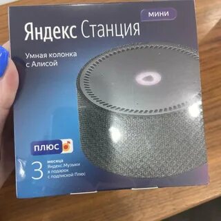 Алиса сколько стоят г
