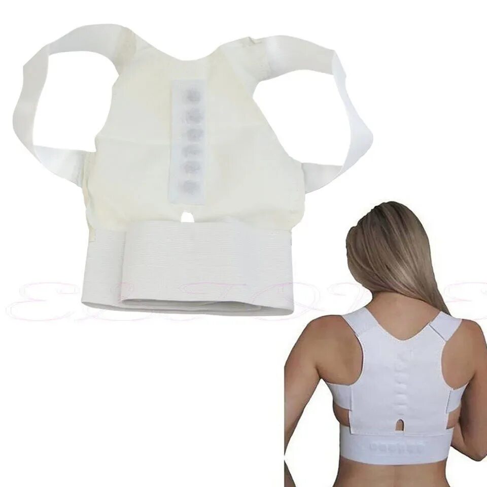 Корректор осанки posture corrector. Корсет италия f4606/4607 цена. Магнитный корректор осанки вектор. Магнитный корректор осанки royal posture. Gdm-037 магнитный корректор осанки, magnetic posture corrector.