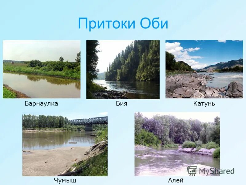 устье реки обь на карте. притоки обе. исток и устье реки обь на карте. исток реки иртыш на карте. схема течения реки обь.