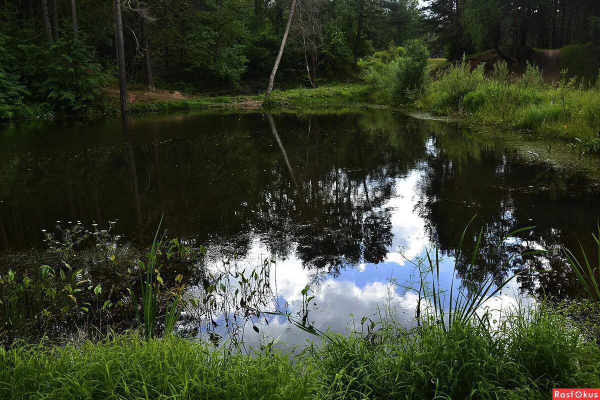 День города в алексине 2021. Соревнования по авиамодельному спорту логотип для презентации. Подслушано в алексине. Авиамоделирование иваново. В алексине крутые.