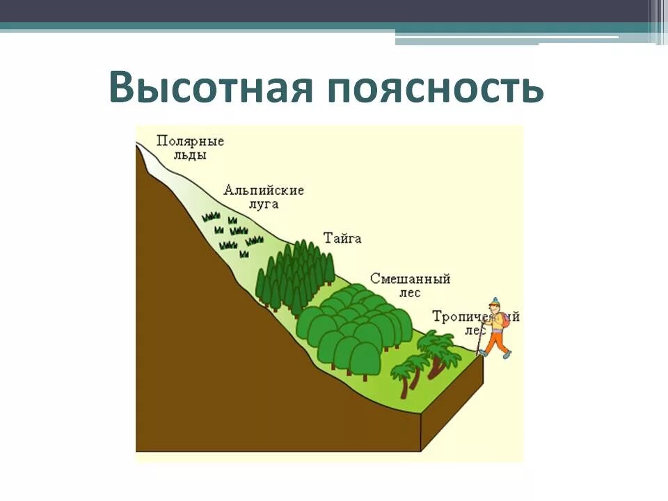 Высотная поясность это смена природных зон