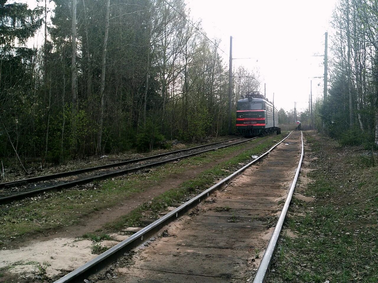 Хвойная будогощь. Будогощь Ленинградская область. Поселок Будогощь. Станция Будогощь. Будогощь Ленинградская область достопримечательности.