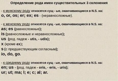 Правильная словарная форма существительного