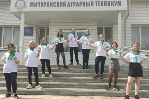 Схт мичуринск