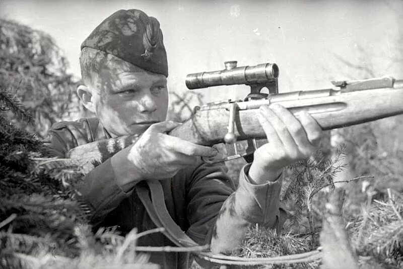 снайперы второй мировой войны ссср. сидоренко снайпер. женщины снайперы вов. клавдия калугина снайпер. женщины снайперы вов.