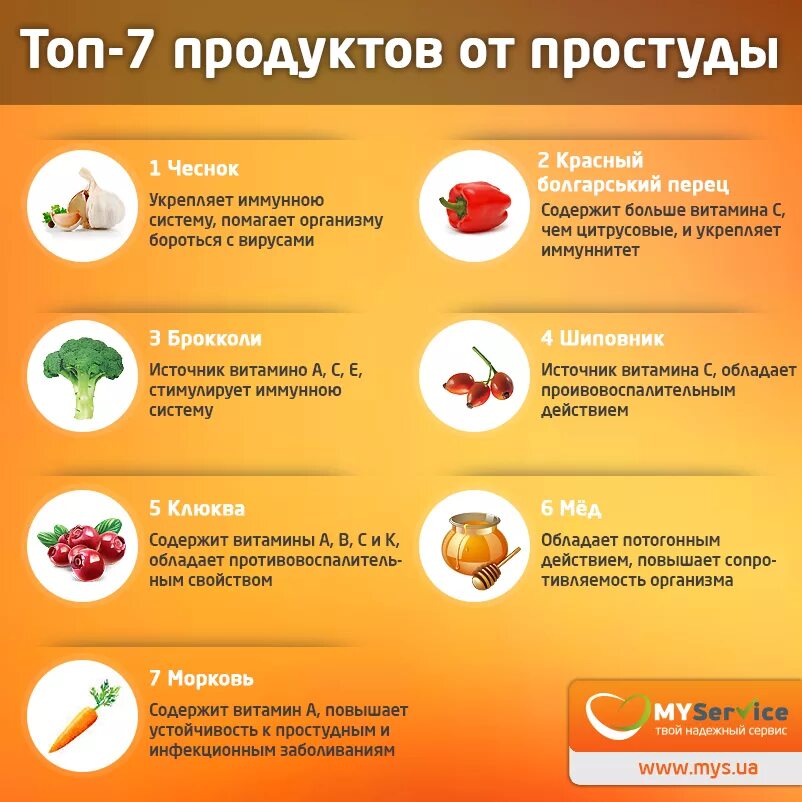 Можно ли кормить при орви