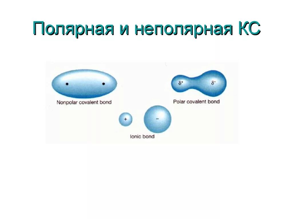 Полярные и неполярные. Полярные и неполярные диэлектрики. Полярные жидкости и неполярные жидкости. Полярные и неполярные молекулы.