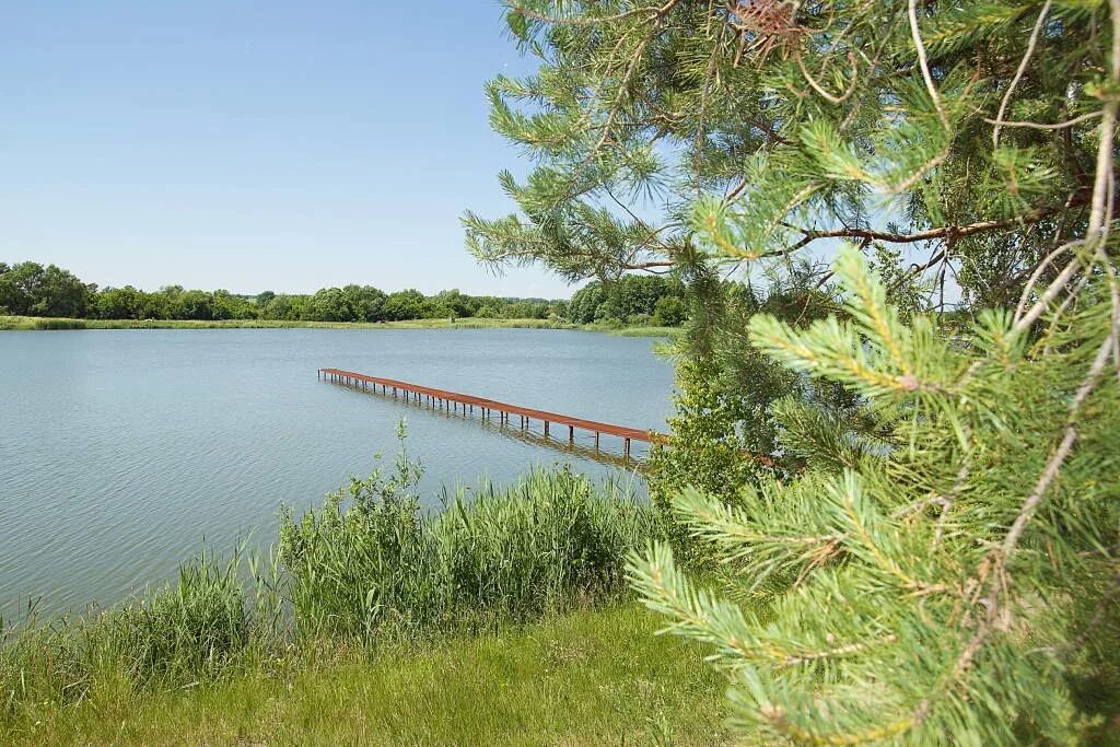 Фоминки орловская область пруд. Щекотихинский пруд орел. Пруд на фоминках орел. Щекотихинский пруд орел. Силикатный пруд орел.