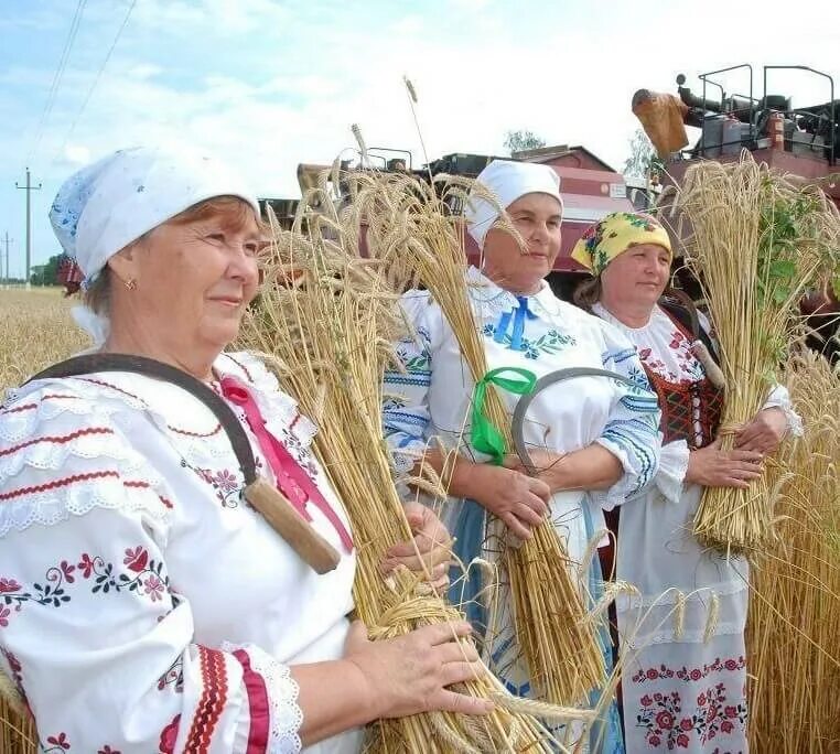 Работники сельского хозяйства. С днем сельского хозяйства. С днем работника сельского хозяйства. Деревенский праздник. Образы тружеников