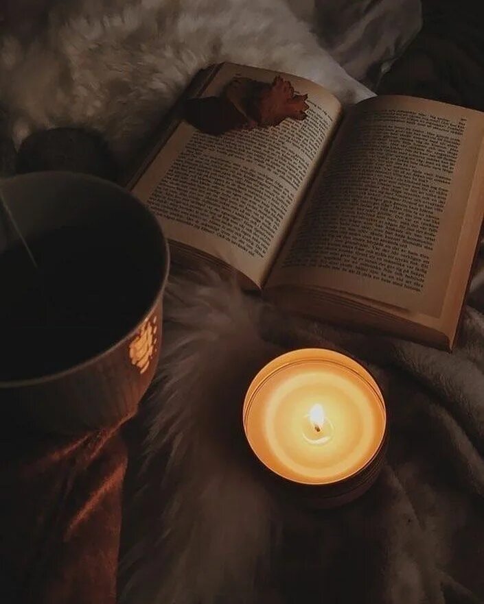 I books in the evening