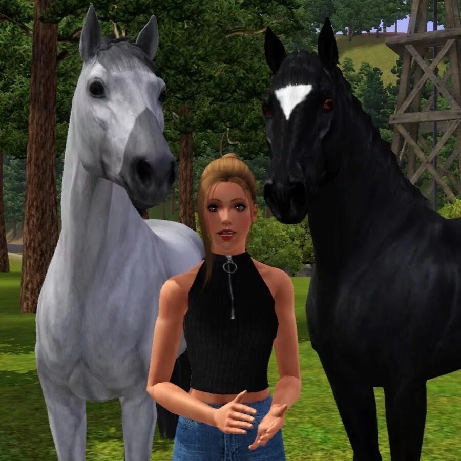 Horse sim. SIMS 4 лошади. SIMS 3 питомцы конюшня. SIMS 3 лошади. Симс 3 питомцы лошади.