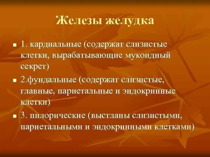 Мукоидный секрет вырабатывают клетки. Кардиальные железы желудка. Мукоидный секрет в желудке функции. Мукоидный секрет слизь вырабатывают клетки. Какие железы вырабатывают слизь