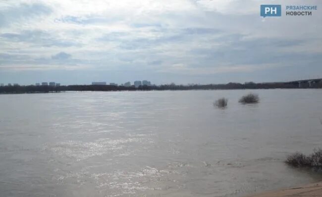 Ока река уровень воды сегодня рязань. Ока река уровень воды Рязань. Половодье Рязань. Уровень воды в реке Ока.