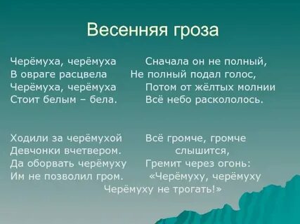 Слова песни белым полем