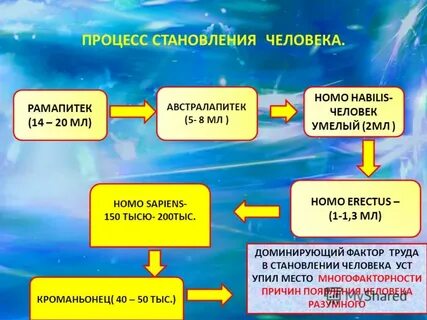Урок обществознания 6 класс социальное становление человека