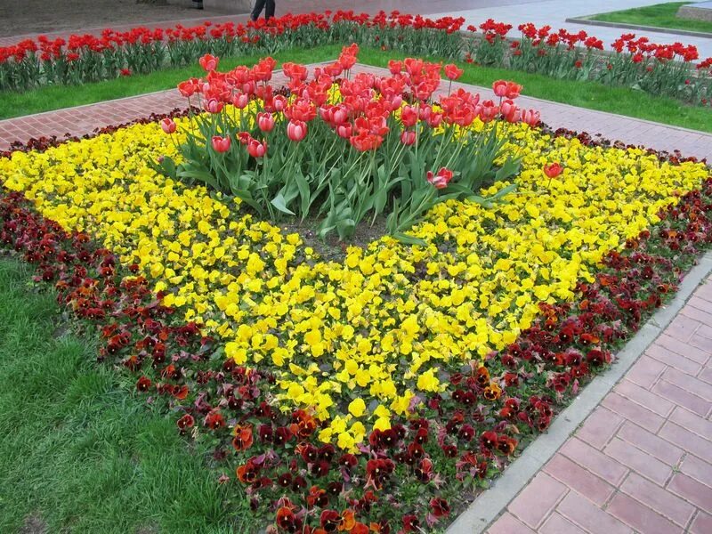 Цветочная клумба имеющая форму прямоугольника
