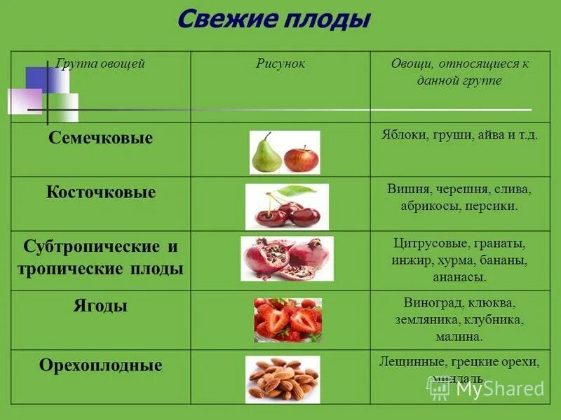 отнесите овощи к соответствующей группе. отнесите овощи к соответствующей группе. косточковые фрукты список аллергия. плодовые и корнеплодные овощи. отнесите овощи к соответствующей группе.