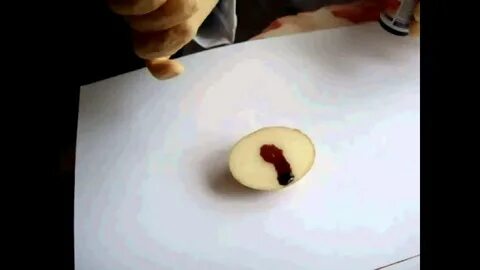 Лист и йод