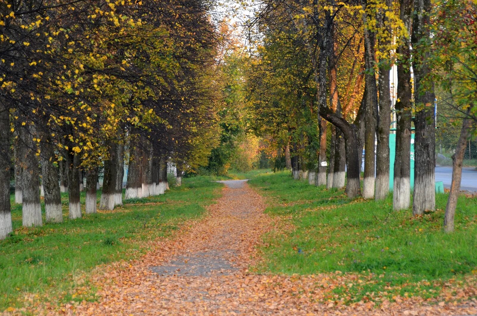 Лысьва парк. Лысьва город природа. Парк Пушкина Лысьва. Парк Пушкина Лысьва Липовая аллея зимой. Место лысьва