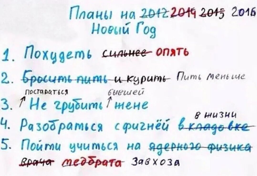 Планы на новый год. Планы на год. Планы на следующий год. Смешные планы на год.