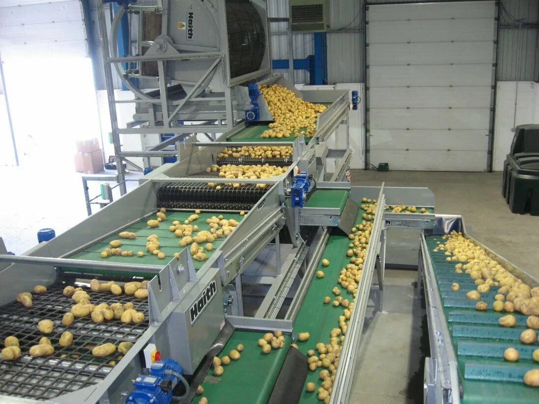 калибровка овощей. линия сортировки картофеля. калибровщик овощей. калибровка овощей. сортировщик овощей.