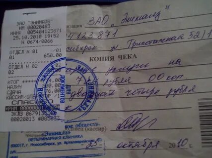 Отдел копия