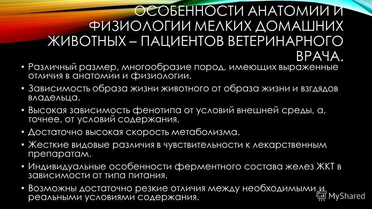 Анатомические особенности животных