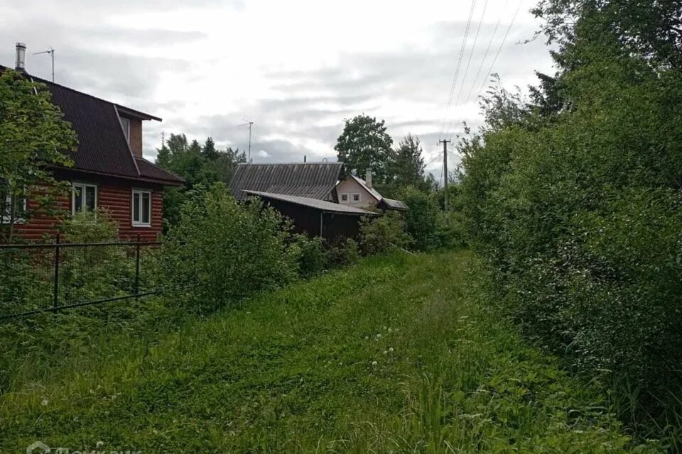 Мшинская зимний дом. Снт строитель 2 мшинская. Дача на мшинской. Снт атмосфера мшинская. Мшинская (посёлок).