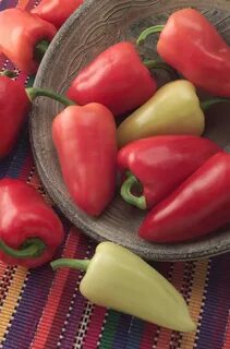 Peppers 10