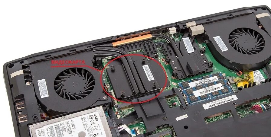 Вторая видеокарта на ноутбук. Дискретная видеокарта для ноутбука msi. msi gt72 bottom. msi dominator gt70 видеокарта. видеокарта для ноутбука geforce 2070.