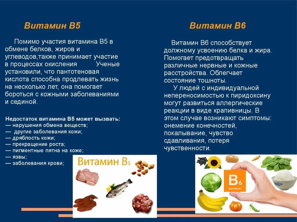 Роль белков пища. Витамины в организме человека. Важность белков в питании. Витамины в пище человека. Роль белков жиров и углеводов.