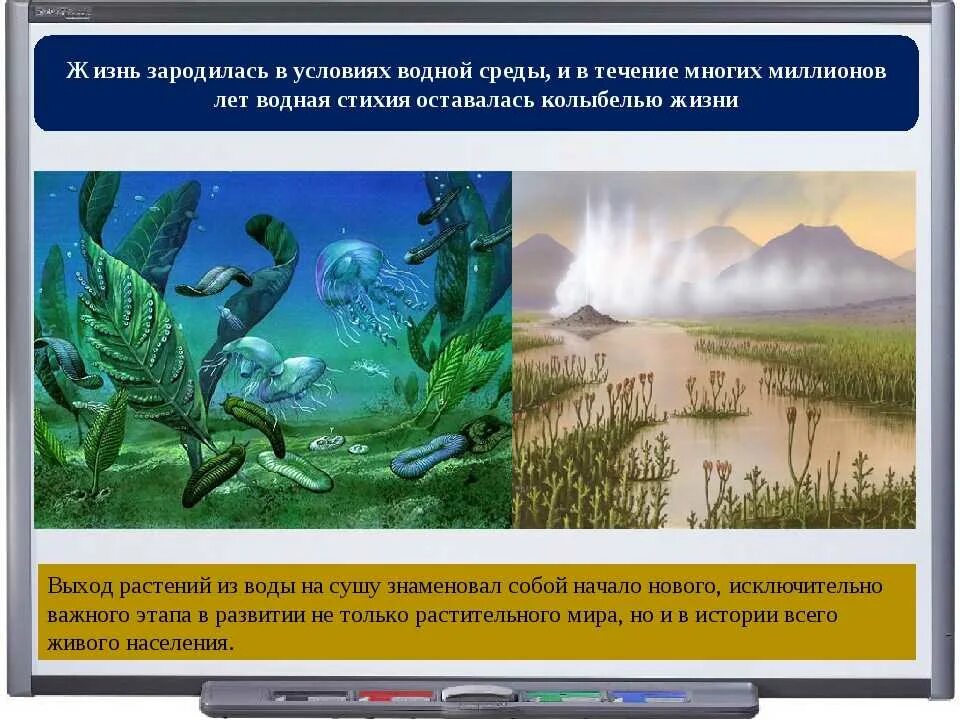 Жизнь животных и людей зародилась в воде. Жизнь на земле зародилась. зарождение жизни на суше. жизнь зародилась в воде. эра появления первых наземных растений.