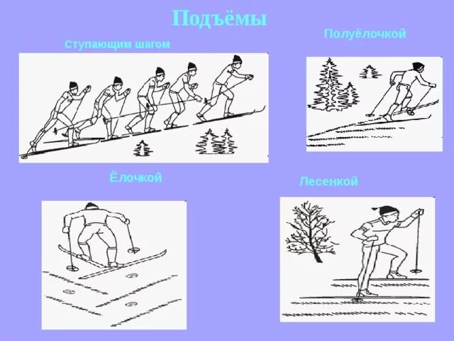 Подъем елочкой на лыжах. Подъем елочкой. Подъём ёлочкой на лыжах техника. Подъём ёлочкой на лыжах методика.