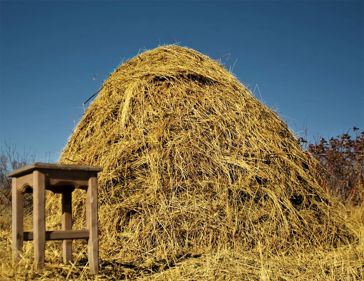 Гумно 19 века. Строение для сушки снопов. Сарай. Сарай с сенником. Сарай для снопов букв.